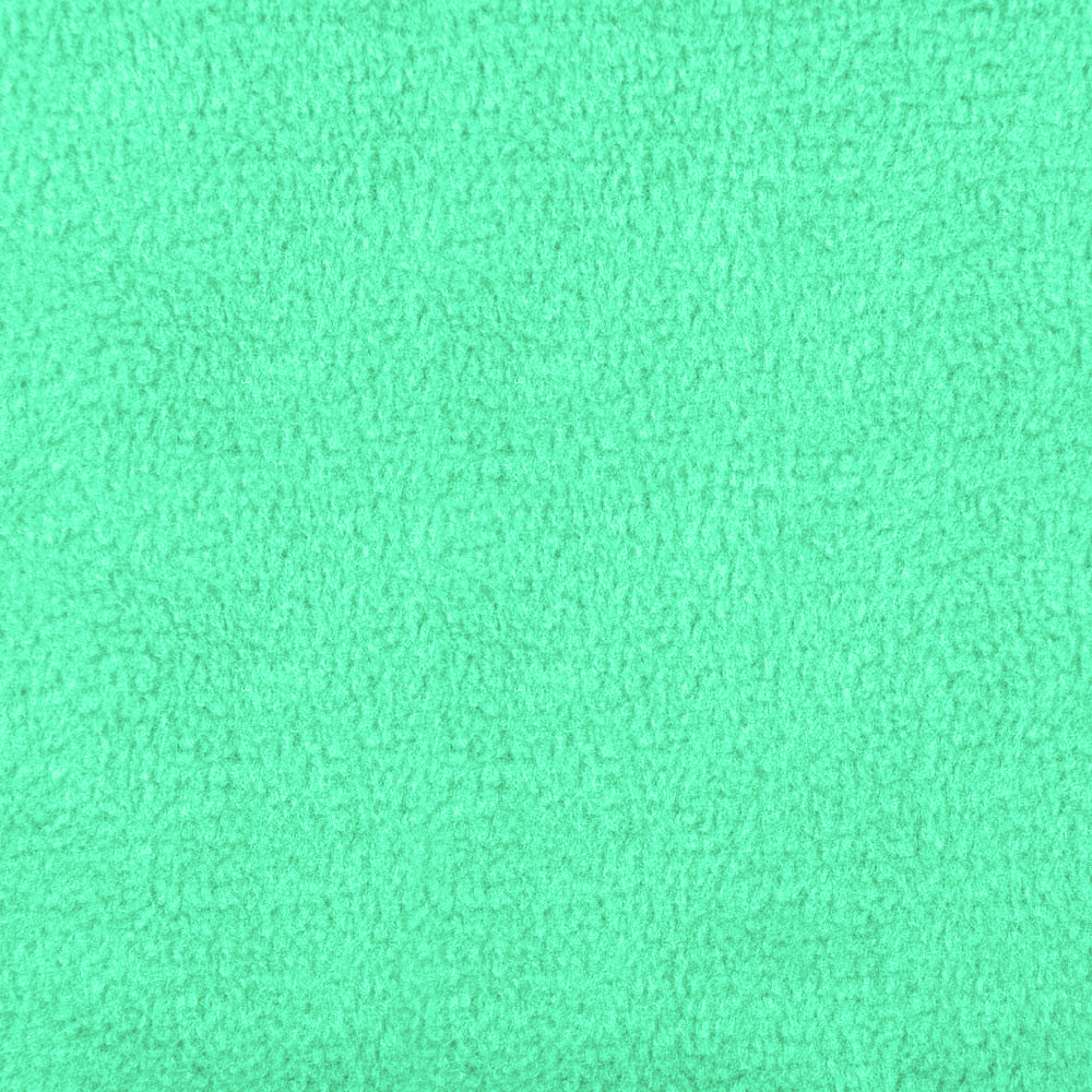 N20.0 - Mint Fleece Fabric